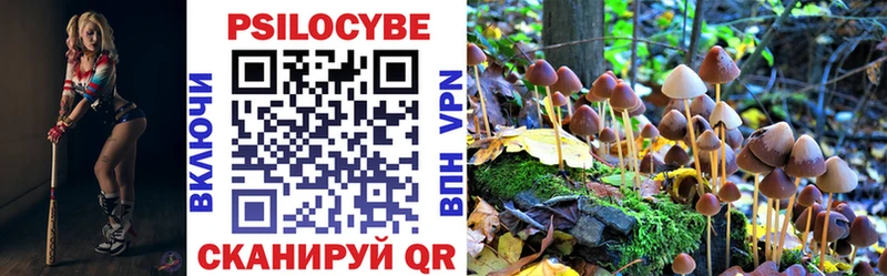 Псилоцибиновые грибы Cubensis  hydra   Спас-Деменск  где можно купить  